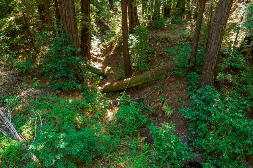 2372 McKenzie Creek rd, Scotts Valley, CA à vendre - Photo principale - Image 1 de 54