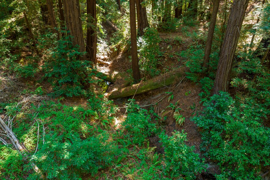 2372 McKenzie Creek rd, Scotts Valley, CA for sale - Primary Photo - Image 1 of 54