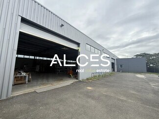 Plus de détails pour Flex à vendre