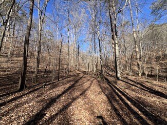 Plus de détails pour peachtree road, Rockmart, GA - Terrain à vendre