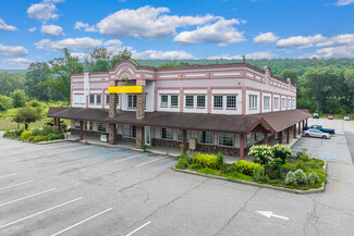 More details for 22 US Highway 6, Port Jervis, NY - Office/Medical, Retail for Lease