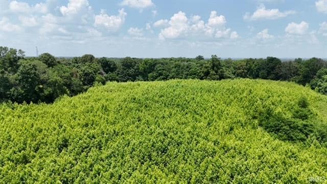 Co 150 N rd, Hazleton, IN for sale - Building Photo - Image 2 of 5