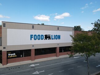 Plus de détails pour 1001 E Pulaski Hwy, Elkton, MD - Commerce de détail à louer