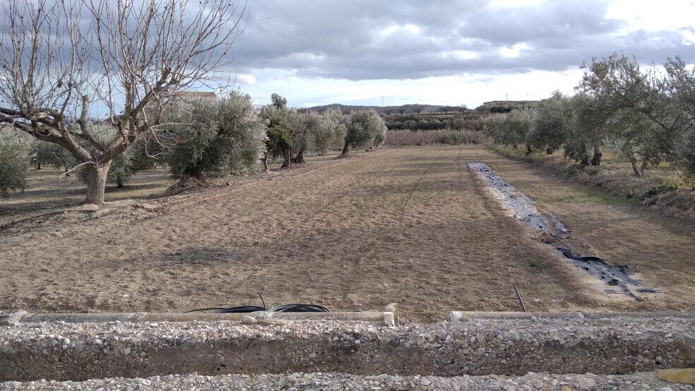 Land in Calasparra, Murcia for sale - Building Photo - Image 1 of 26