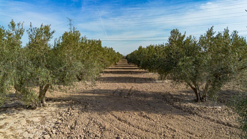 Parcela, 16, Crevillent, Alicante à vendre - Aérien - Image 2 de 7