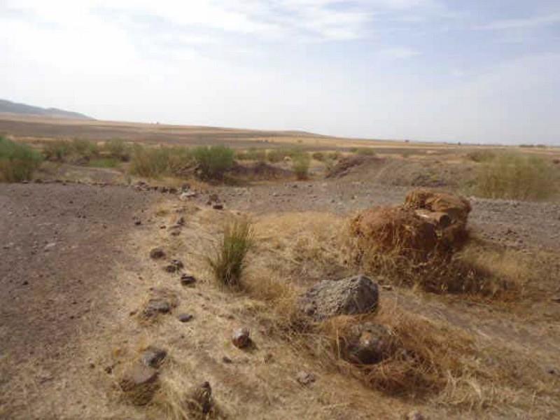 Charnecales, Villagarcía de la Torre, Badajoz for sale Primary Photo- Image 1 of 19