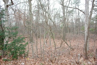 More details for 6519 Black Horse Pike, Egg Harbor Township, NJ - Land for Sale