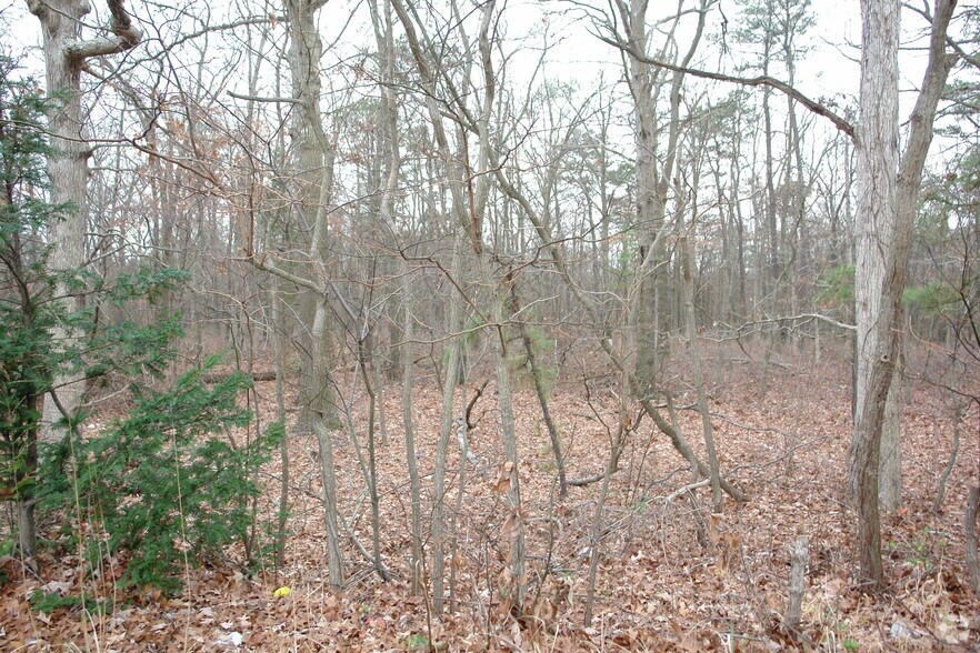 6519 Black Horse Pike, Egg Harbor Township, NJ for sale - Primary Photo - Image 1 of 3