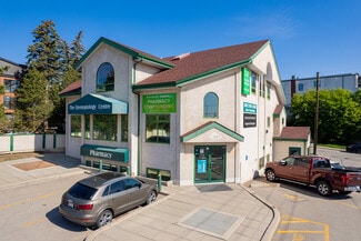 Plus de détails pour 124 42nd Ave SW, Calgary, AB - Bureau à louer