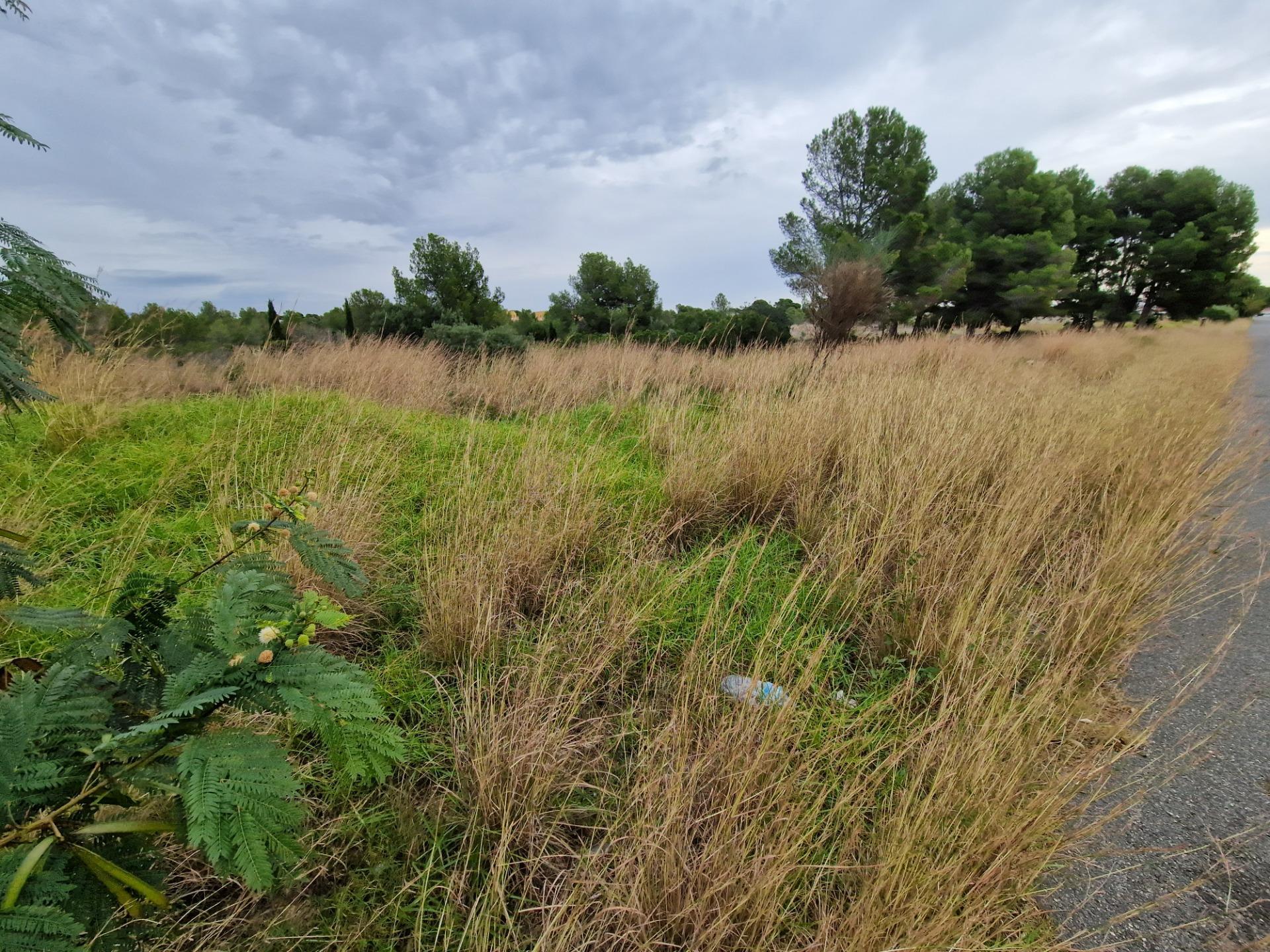 Terrain dans Mont-roig del Camp, Tarragona à vendre Photo du bâtiment- Image 1 de 8
