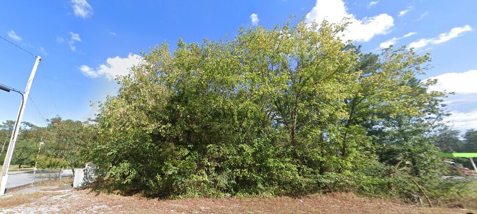 5202 Greenhill Blvd NW, Fort Payne, AL for sale - Other - Image 2 of 2