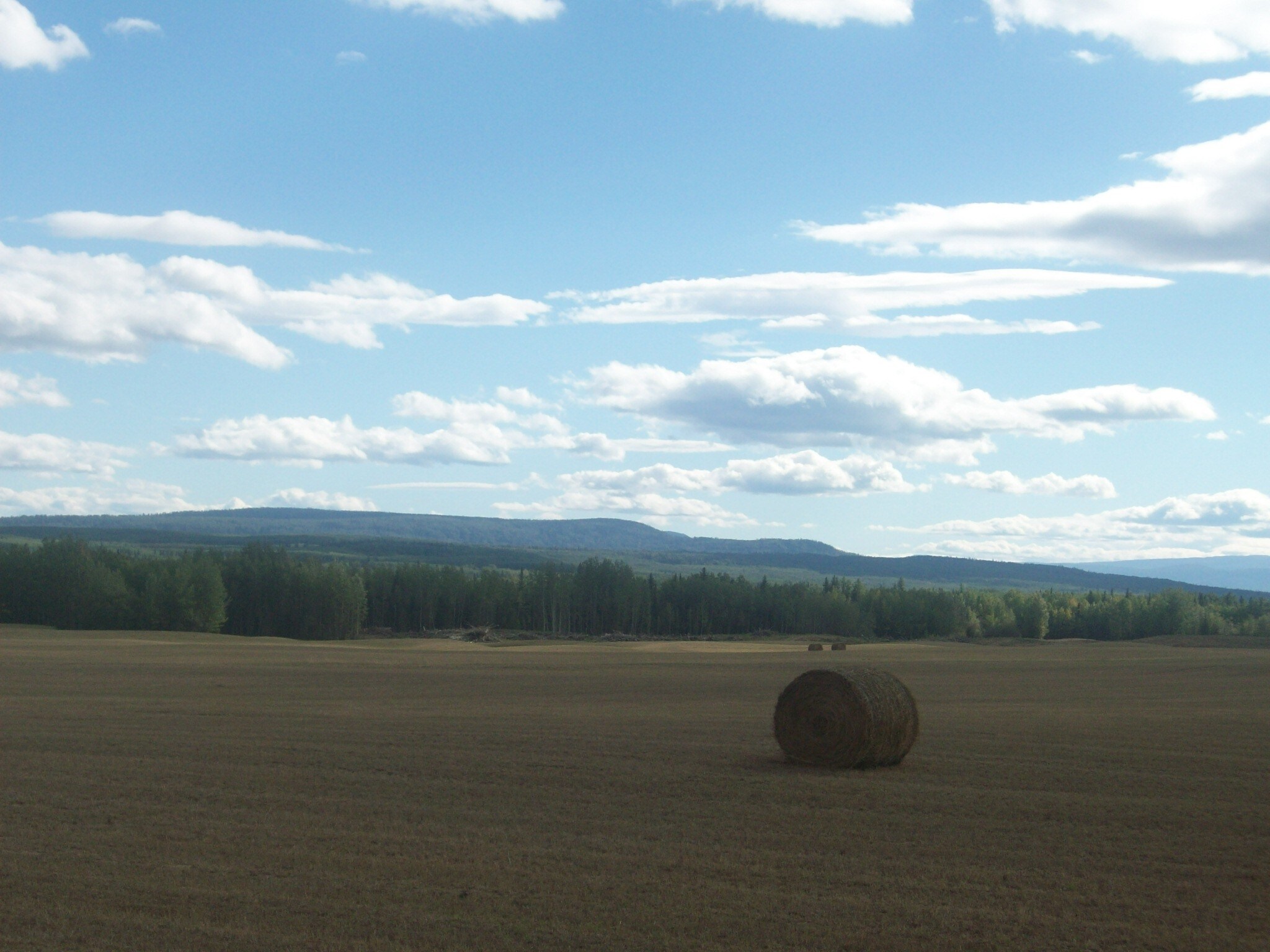 8645 Hwy 97 S, Peace River, BC for sale Building Photo- Image 1 of 1