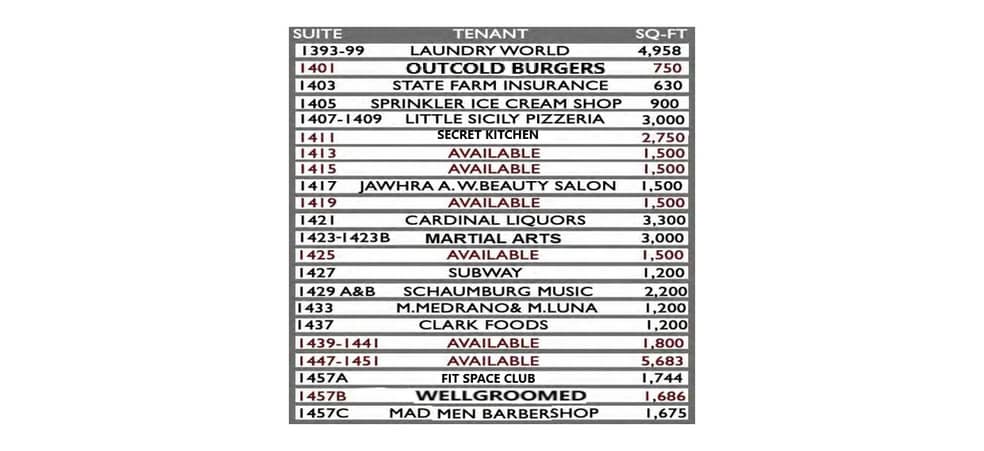 1401-1455 W Schaumburg Rd, Schaumburg, IL for lease - Building Photo - Image 3 of 6