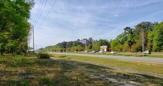 Plus de détails pour 7200 AL-59 Hwy, Gulf Shores, AL - Terrain à vendre