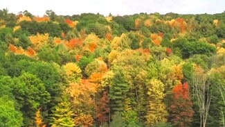 Plus de détails pour 225 Southwood dr, Vestal, NY - Terrain à vendre