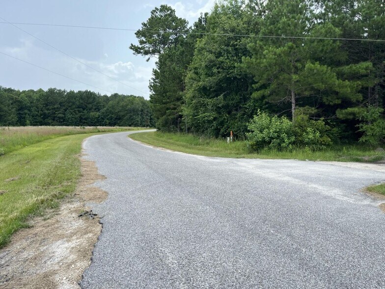 0 Carolette Ct, Walterboro, SC for sale - Other - Image 2 of 16