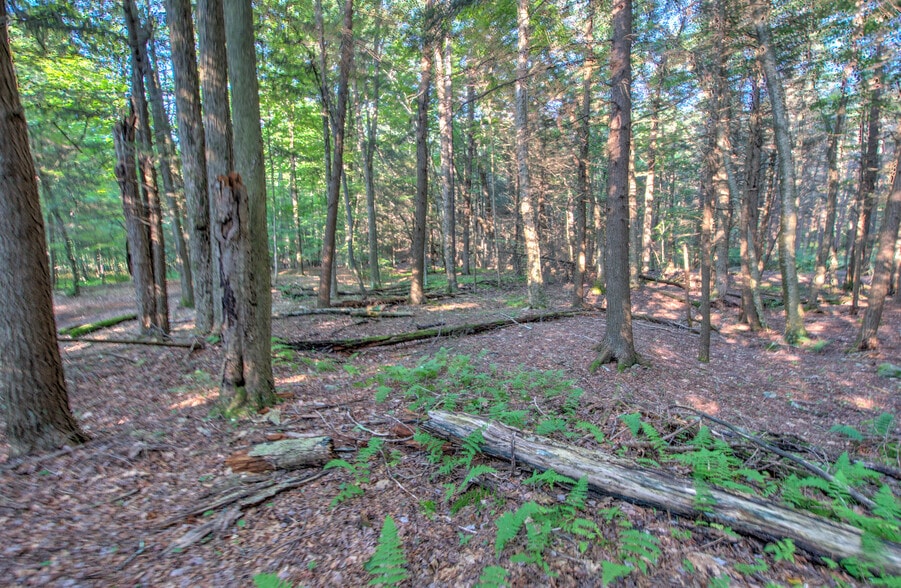 167 Route 191, Cresco, PA à louer - Photo du bâtiment - Image 2 de 61