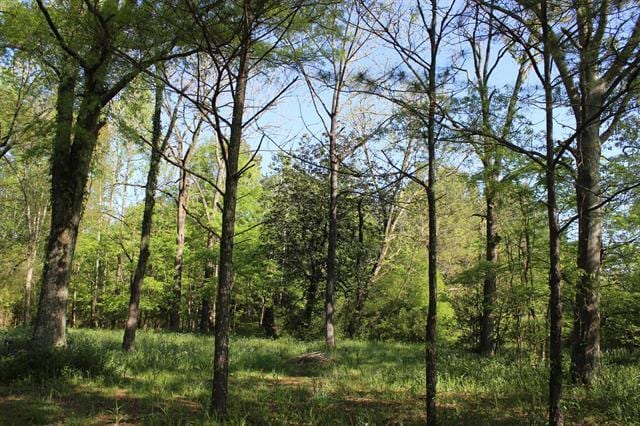 0 County Road 489 Rd, Hanceville, AL for sale - Other - Image 1 of 1