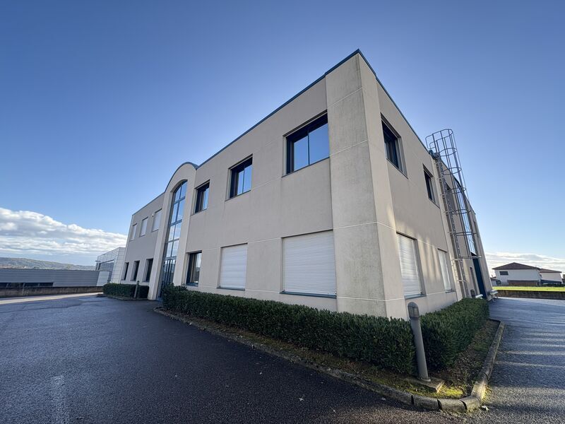 Flex in La Tour-de-Salvagny for lease Building Photo- Image 1 of 6