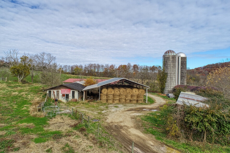311 Ross Cemetery Rd, Rocky Top, TN à vendre - Photo du bâtiment - Image 3 de 51