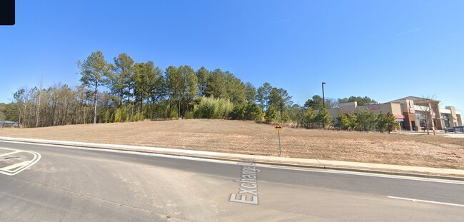 Plus de détails pour 306 Exchange Blvd, Bethlehem, GA - Terrain à louer