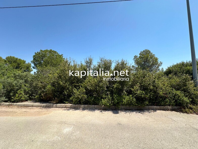 Land in Alberic, Valencia for sale - Primary Photo - Image 1 of 4