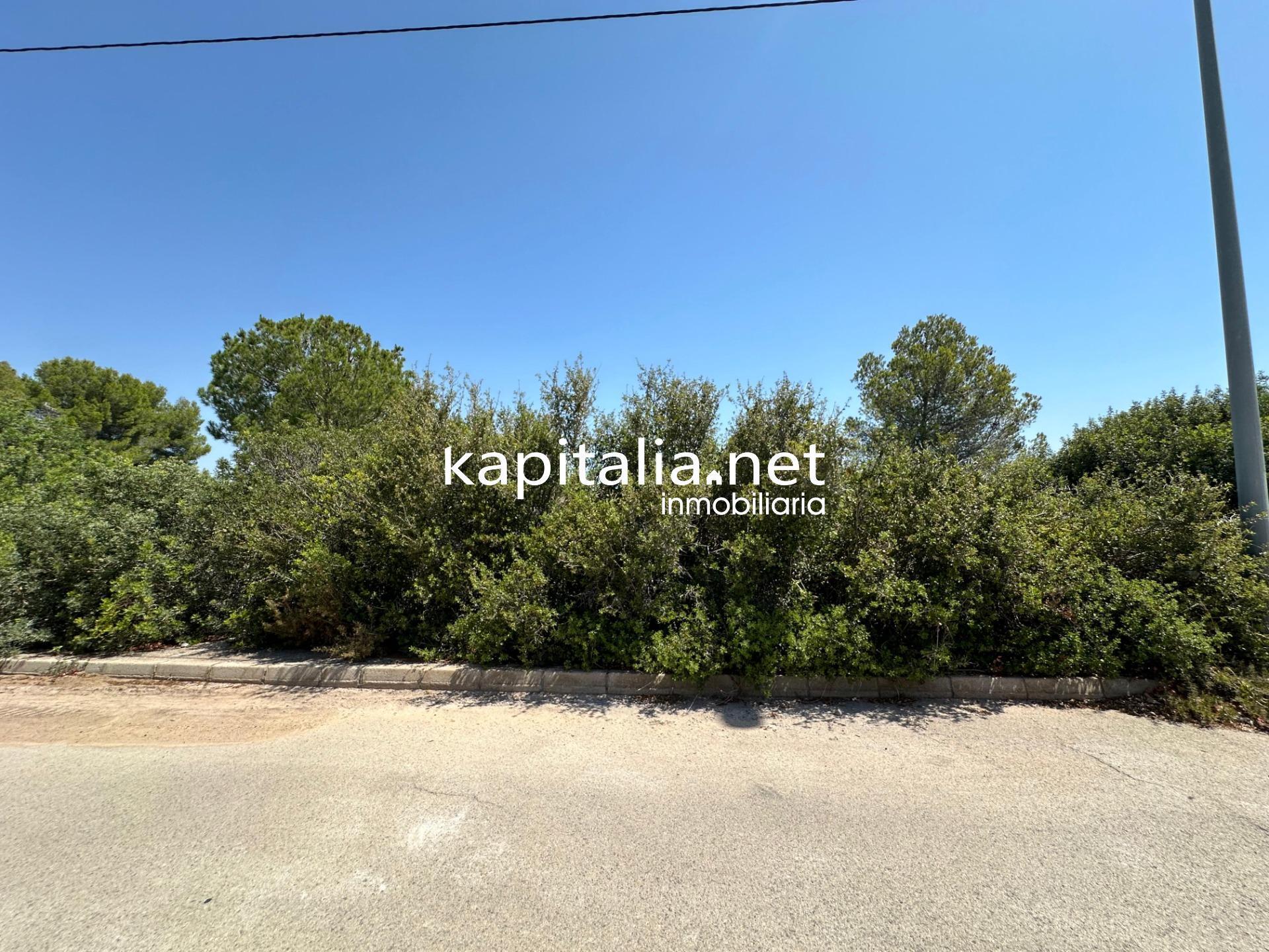 Land in Alberic, Valencia for sale Primary Photo- Image 1 of 5