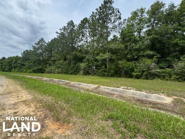 0 Dead Lake Rd., Creola, AL for sale - Other - Image 3 of 15