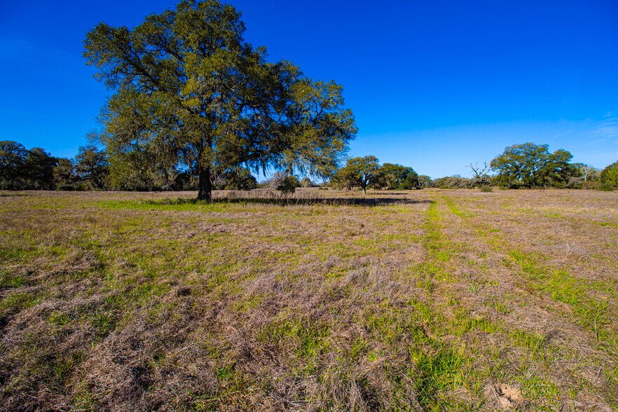 1984 Highway 71, Columbus, TX for sale - Other - Image 3 of 49