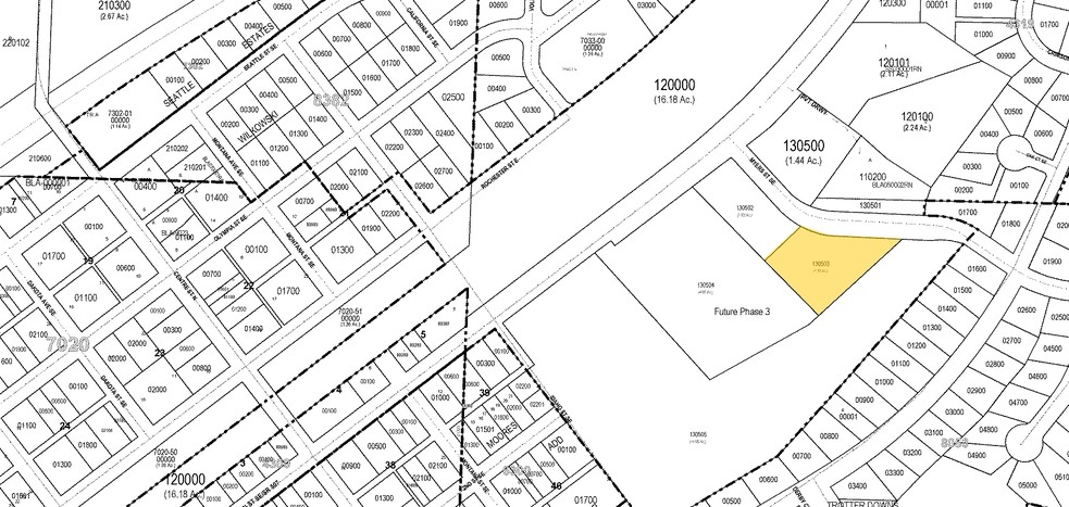 101 Myers St SE, Rainier, WA à vendre - Plan cadastral - Image 1 de 1