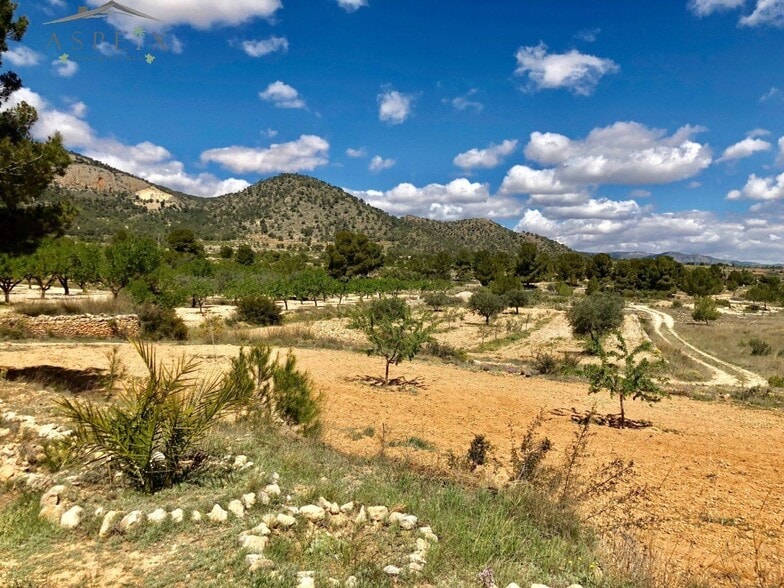 Terrain dans MONÒVER, Alicante à vendre - Aérien - Image 2 de 6
