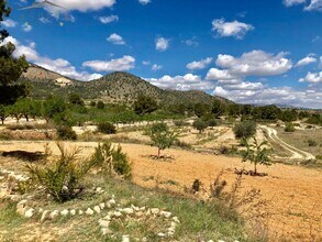 MONÒVER, ALI - Aerial  map view - Image1