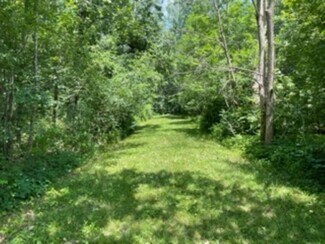 Plus de détails pour Beckwith Lane and Steger Road, Crete, IL - Terrain à vendre