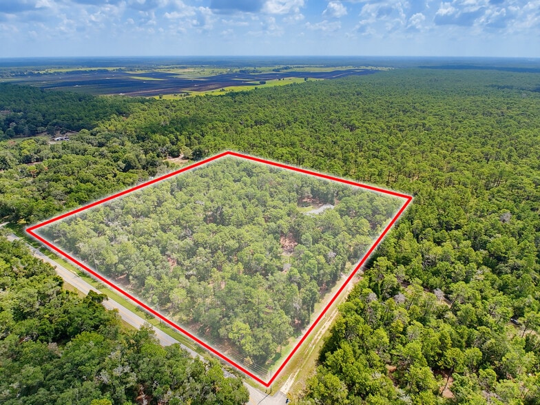 26311 Willow St, Brooksville, FL à vendre - Photo du bâtiment - Image 3 de 107