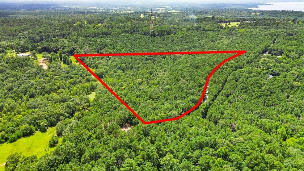 268 Cedar Valley Rd, Coldspring, TX à vendre - Aérien - Image 2 de 4