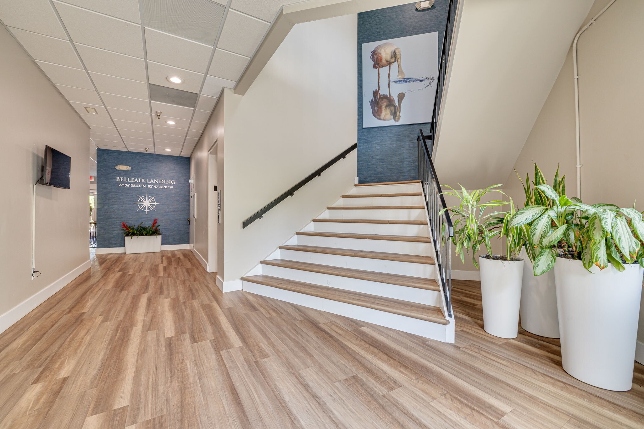 1465 S Fort Harrison Ave, Clearwater, FL for lease Interior Photo- Image 1 of 24