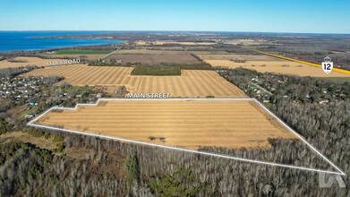 Main St E st, Brock, ON - aerial  map view