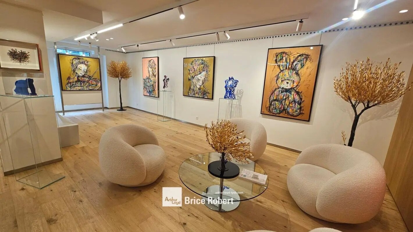 4 Cours De La Liberté, Lyon for sale Interior Photo- Image 1 of 7
