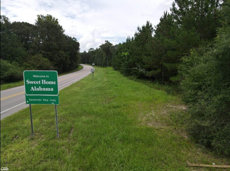 0 State 167 hwy, Hartford, AL à vendre - Photo du bâtiment - Image 2 de 7