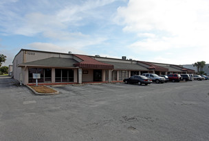 Pine Flex Center - Automotive Property