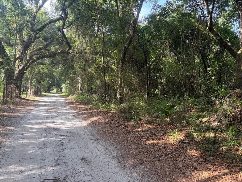County Road 738, Webster, FL à vendre - Autre - Image 1 de 2