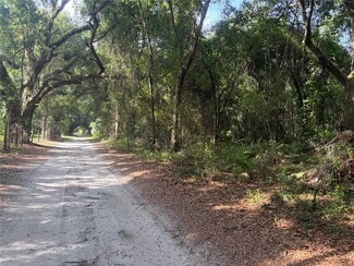 More details for County Road 738, Webster, FL - Land for Sale