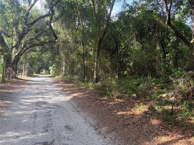 More details for County Road 738, Webster, FL - Land for Sale