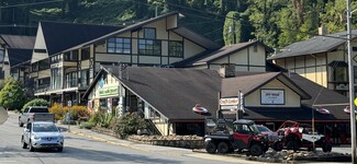 More details for 446 E Parkway, Gatlinburg, TN - Retail for Sale