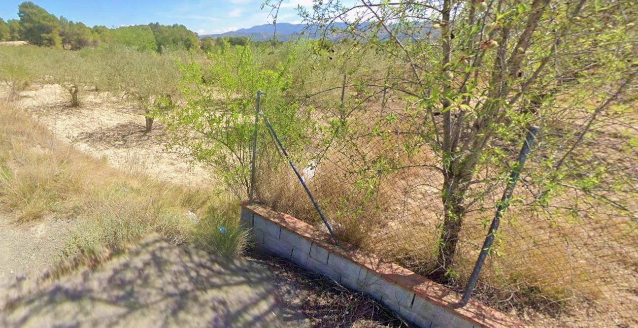 Polígono Número 8, 29, Ontinyent, Valencia à vendre Plan de site- Image 1 de 3