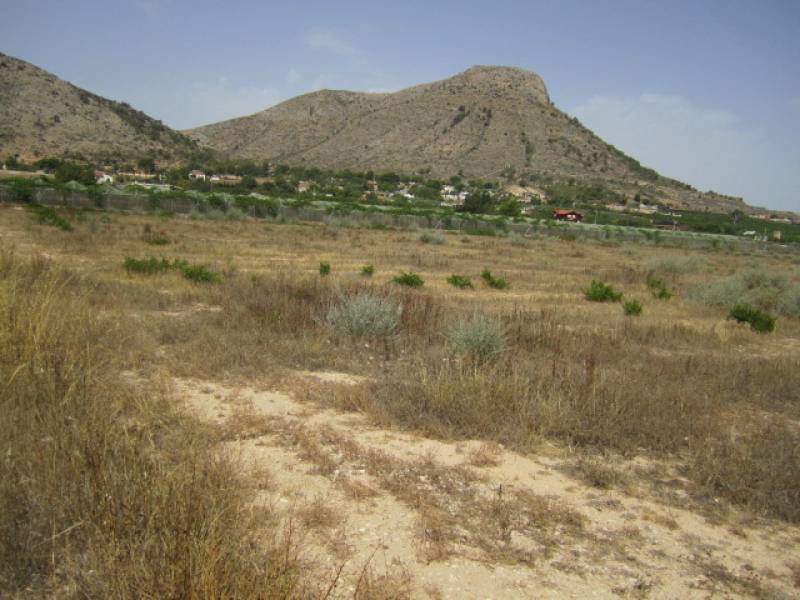 Terrain dans Aspe, Alicante à vendre Aérien- Image 1 de 6