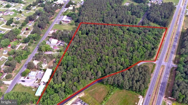 Plus de détails pour N. Ocean Hwy., Delmar, MD - Terrain à vendre