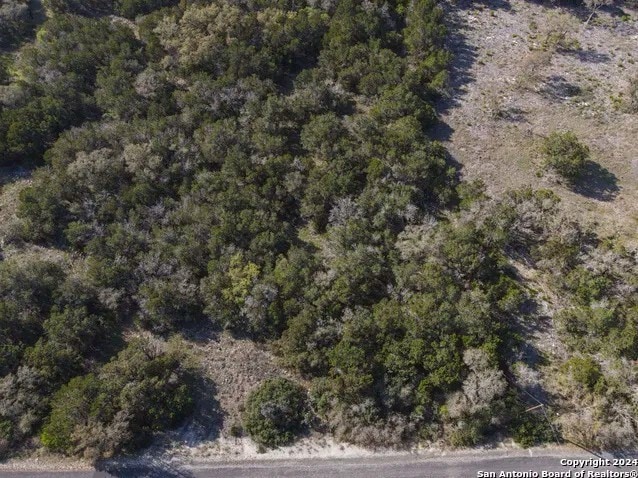 82 County Road 273, Mico, TX for sale - Aerial - Image 1 of 9