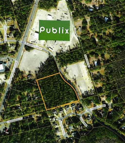 Songbird Avenue, Crawfordville, FL for sale - Aerial - Image 1 of 1