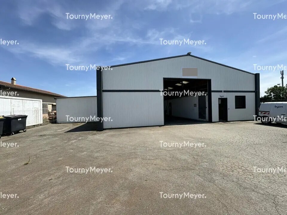 Flex in Cugnaux for lease Building Photo- Image 1 of 9